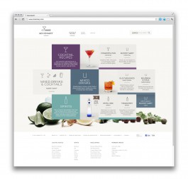 KRISTIAN SALIBA / CREATIVE DIRECTOR